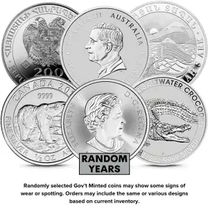 1/2oz Government Bullion .999 Silver Coins (Random Design)