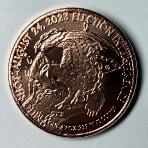 1 oz Trump Mugshot .999 Copper Round (2)