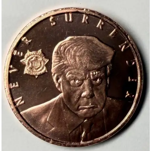 1 oz Trump Mugshot .999 Copper Round