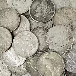 1922-1935 Peace Silver Dollar Cull (Random Year) (2)
