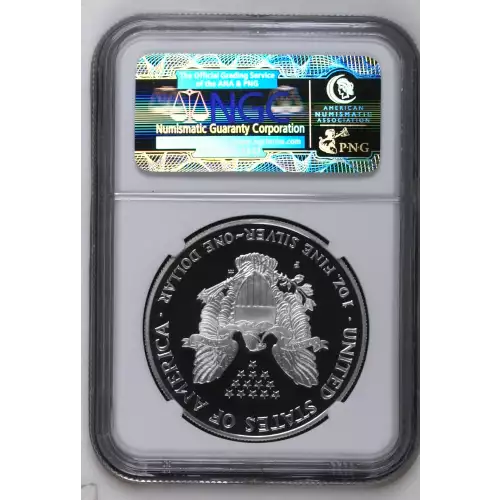 1996 P (3)