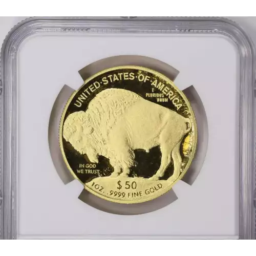 2010 W .9999 FINE ULTRA CAMEO (4)