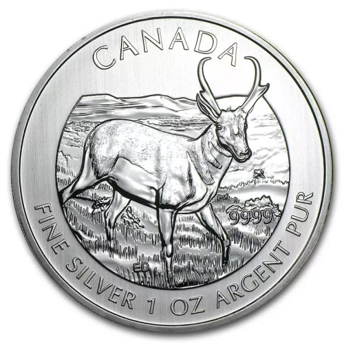 2013 1oz Canadian Silver Wildlife Series - Pronghorn Antelope (2)