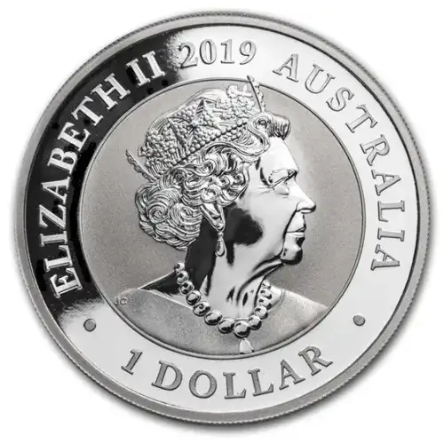 2019 1oz Australia Perth Mint Swan .9999 Silver Coin (2)