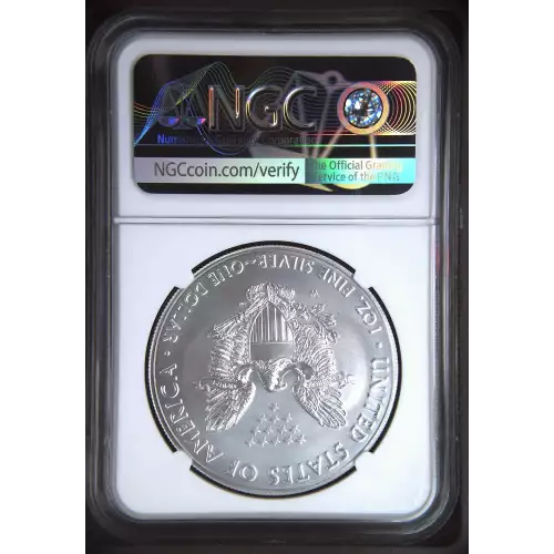 2019 W Burnished Silver Eagle First Day of Issue  (3)