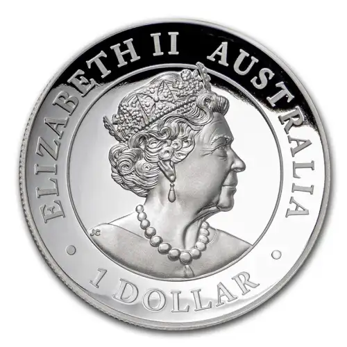 2020 1oz Australia Perth Mint KOALA HR Proof .999 Silver Incused Coin (4)