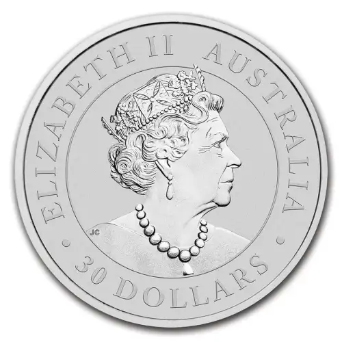 2021 1kg Australian Perth Mint Kookaburra .9999 Silver Coin (3)