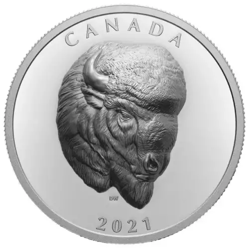 2021 1oz Royal Canadian Mint Bold Bison .999 Silver Proof Extraordinarily High Relief Coin (3)