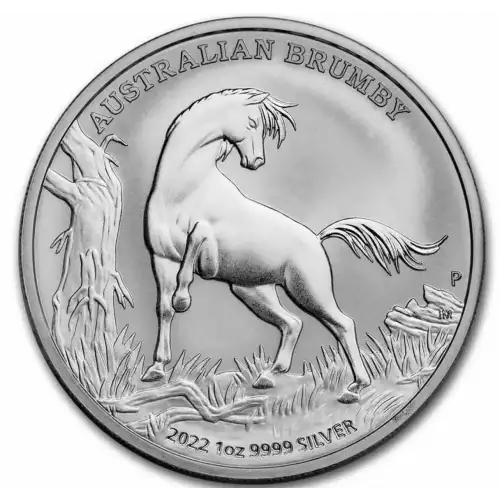 2022 1oz Australia Perth Mint .9999 Silver Brumby Coin