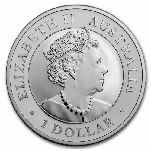2022 1oz Australia Perth Mint .9999 Silver Brumby Coin (2)