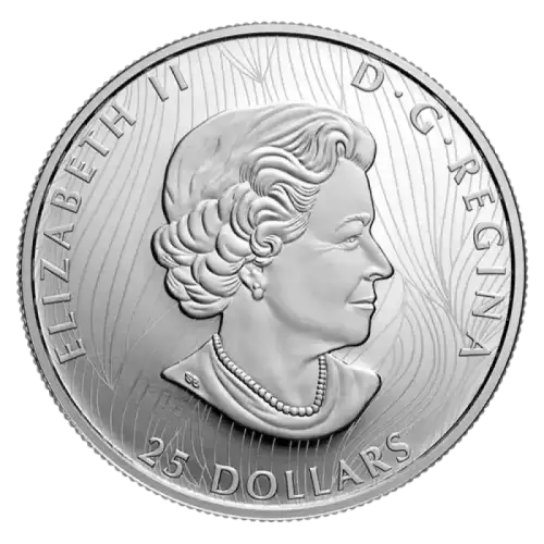 2022 1oz Royal Canadian Mint Timber Wolf Silver .9999 Proof Extraordinarily High Relief Coin (3)