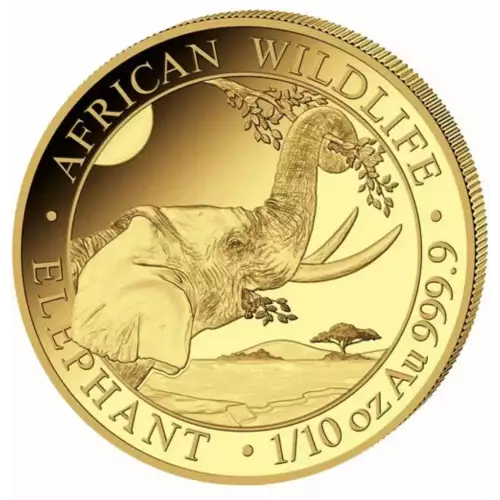2023 1/10oz Somalia .9999 Gold Elephant Coin