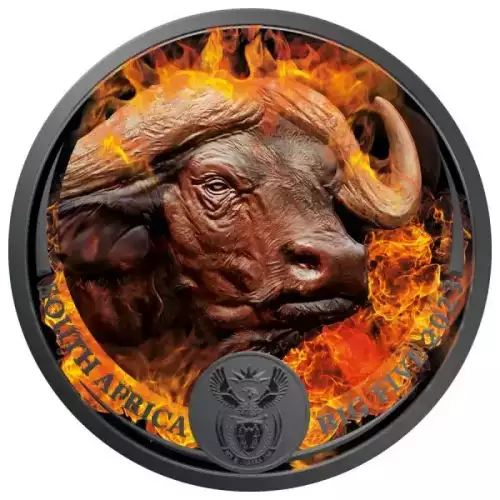 2023 1 oz South African Big Five Burning Buffalo Colorized Coin