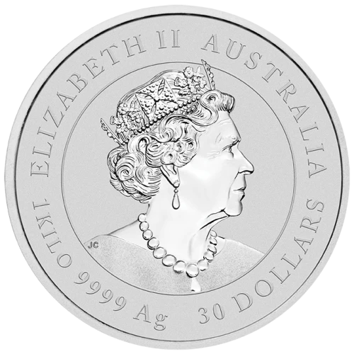 2023 1kg Australian Perth Mint Lunar Series III: Year of the Rabbit (3)