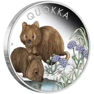 2023 1oz Australia Qyokka .9999 Silver Proof Colorized Coin 