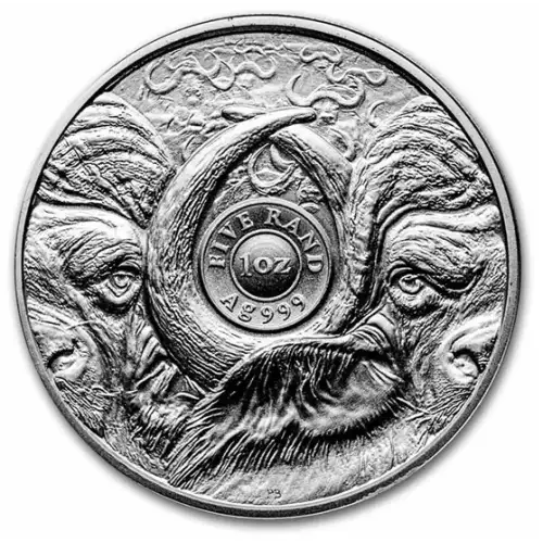 2023 1oz South Africa The Big Five Series II: Cape Buffalo .999 Silver Coin (3)
