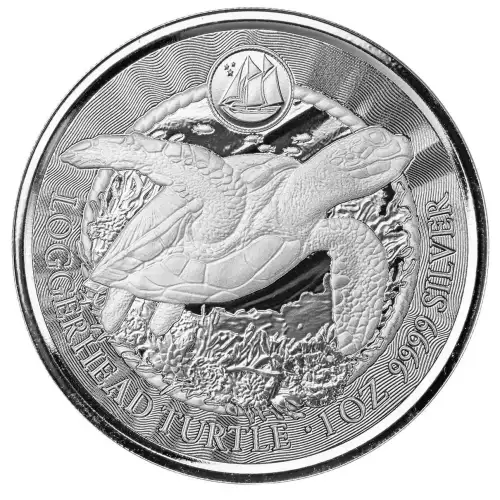 2023 Cayman Islands Loggerhead Turtle 1 oz Silver Coin