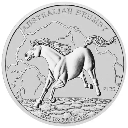 2024 1oz Australia Perth Mint Brumby .9999 Silver Coin (4)