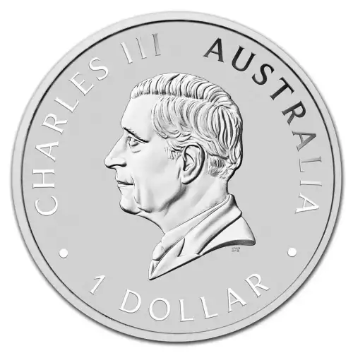 2024 1oz Australia Perth Mint Emu .999 Silver BU Coin