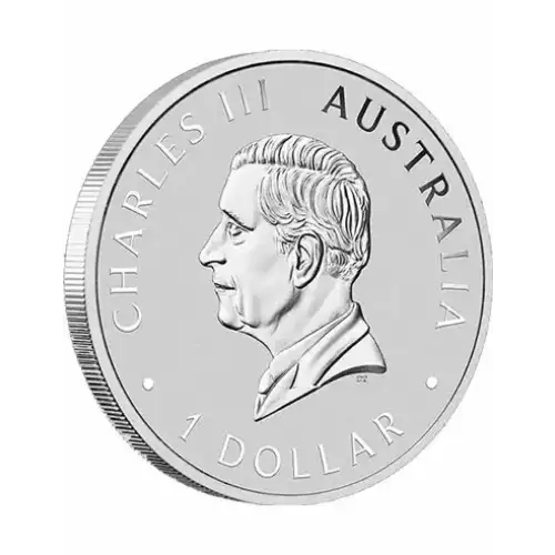 2024 1oz Australia Perth Mint Emu .999 Silver Coloured Coin (3)