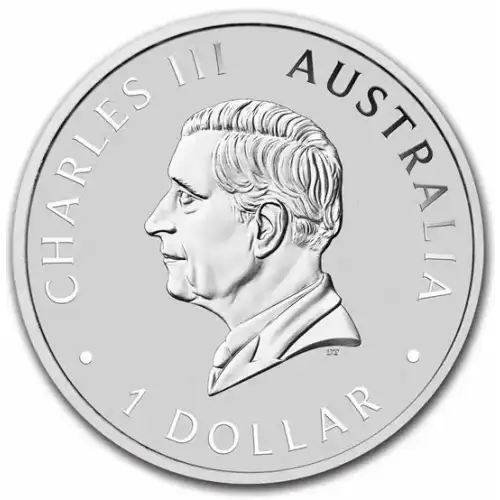 2024 1oz Australia Perth Mint Swan .9999 Silver BU Coin (2)