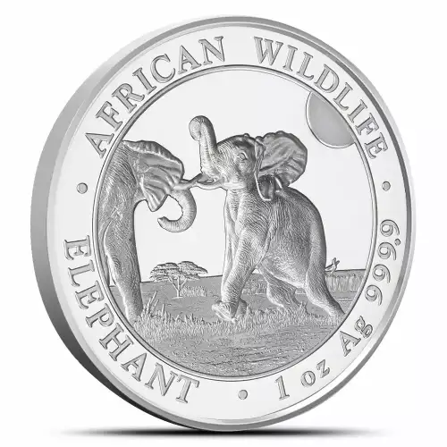 2024 1oz Somalia Elephant High Relief Proof Silver Coin (2)