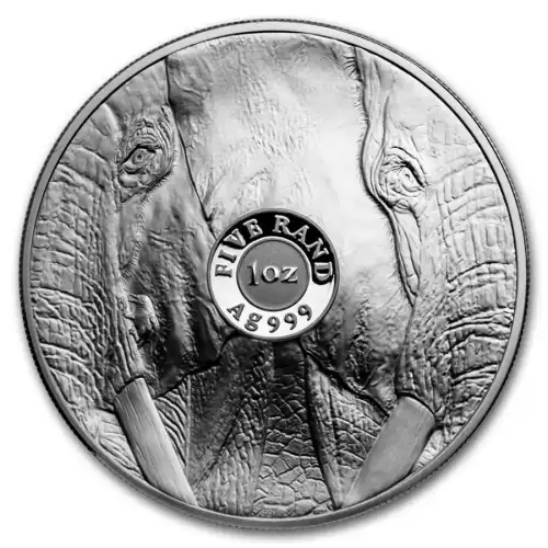 2024 1oz South Africa Big Five Series III - Elephant & Krugerrand with Elephant Privy .999 Silver Proof 2 Coin Set (2)