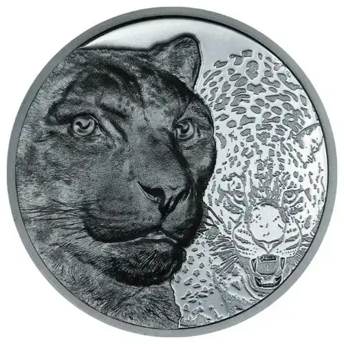 2024 2 oz Mongolia Wild Mongolia Series – Snow Leopard Black Proof .9999 Silver Coin (4)