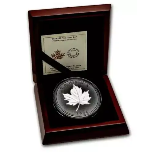 2024 5oz Canada Maple in Motion Rhodium Plated Incuse .9999 Silver Coin (3)