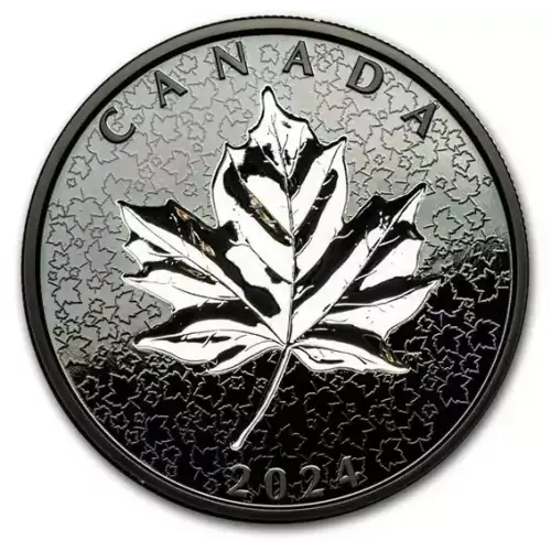 2024 5oz Canada Maple in Motion Rhodium Plated Incuse .9999 Silver Coin