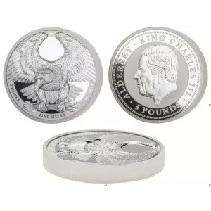 2024 Alderney Bald Eagle UHR 2 oz Silver Coin