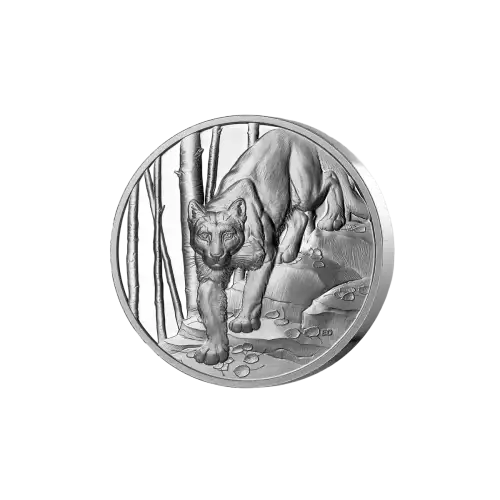 2024 Canada RCM 1oz Silver Great Hunters: Cougar UHR NGC PF70 UC First Day of Production w/ Black Core & Cougar Label (3)