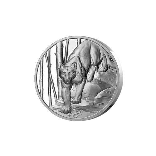 2024 Canada RCM 1oz Silver Great Hunters: Cougar UHR NGC PF70 UC First Day of Production w/ Black Core & Cougar Label (3)