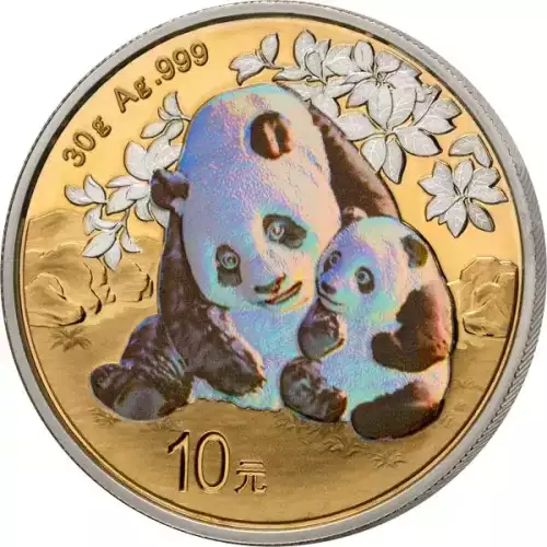 2024 China Panda 4 x 30g Silver Prestige Coin Set  (4)