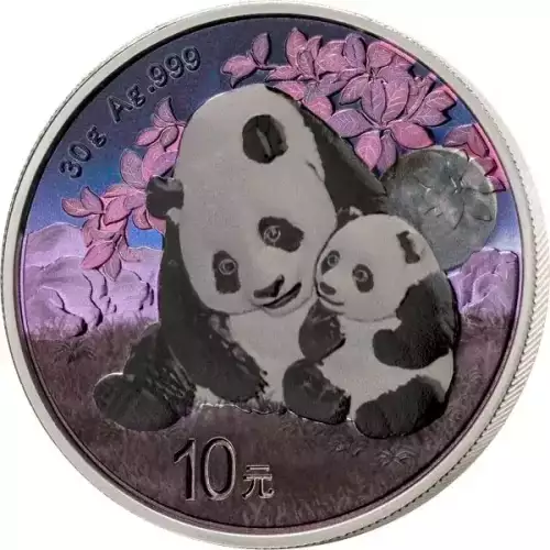 2024 China Panda 4 x 30g Silver Prestige Coin Set  (2)