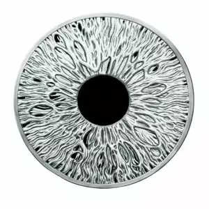 2024 The Eye .999 1oz Silver Shield Proof Round 