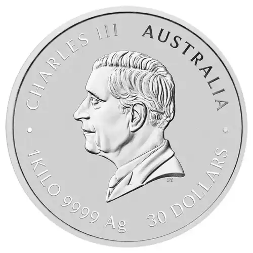 2025 1kg Australia Perth Mint Lunar Series III: Year of the Snake Colored .9999 Silver Coin with Gold Privy Mark (4)