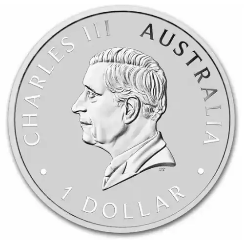 2025 1oz Australia Perth Mint Brumby BU .9999 Silver Coin (2)