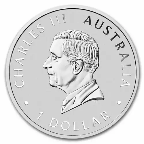 2025 1oz Australia Perth Mint Swan .9999 Silver Coin BU (3)