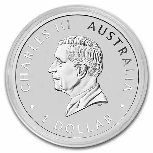 2025 1oz Australia Perth Mint Swan .9999 Silver Coin BU (2)
