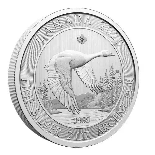 2025 2 oz RCM Canada Goose .9999 Silver BU Coin (2)