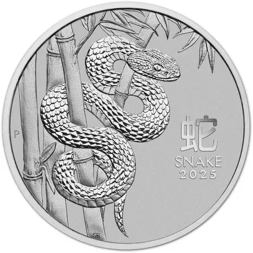 2025 Australia Lunar Snake 1 oz Platinum Coin NGC MS 70 First Release (3)