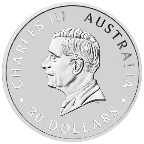 2026 1kg Australian Perth Mint Silver Kookaburra  (2)