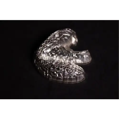 2oz South Korea Today Mint Lowpoly Snake .999 Silver Stacker (2)