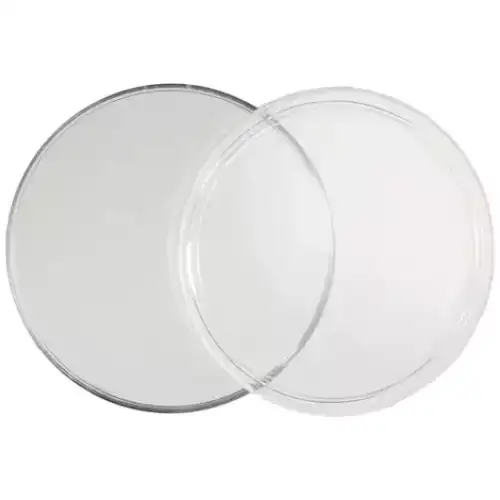 40.6mm Direct Fit Coin Capsule for 1oz Silver Eagles (3)