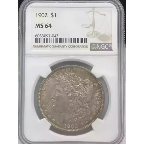 Morgan Silver Dollar (2)