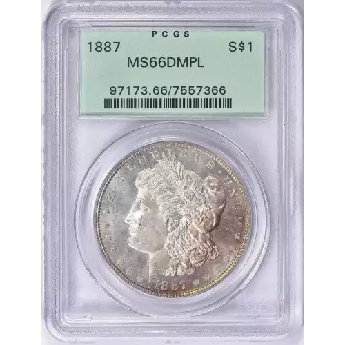 Morgan Silver Dollar