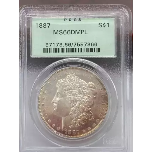 Morgan Silver Dollar (5)