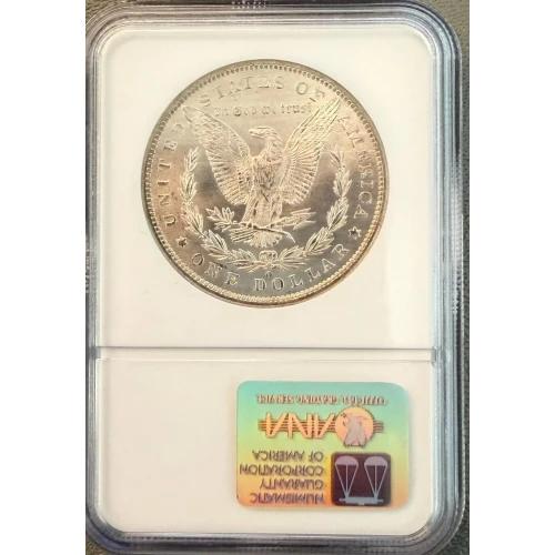 Morgan Silver Dollar