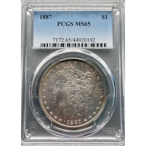 Morgan Silver Dollar